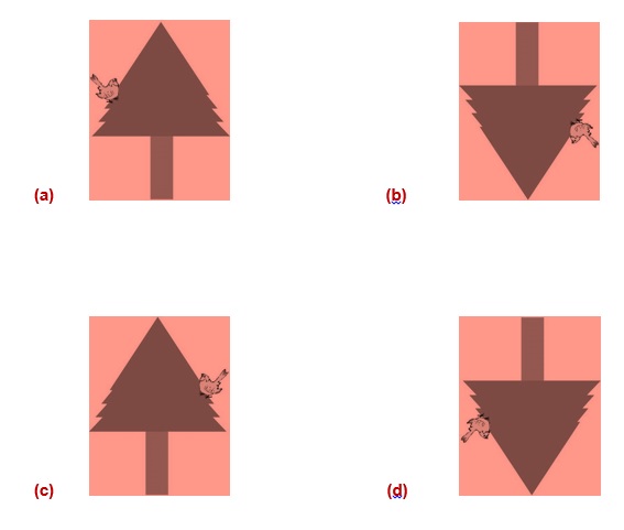 Science Class 6 Chapter 1 Exemplar
