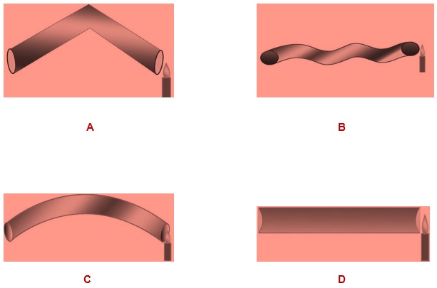 Science Class 6 Chapter 1 Exemplar