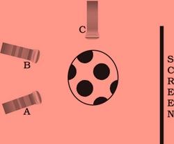 Science Class 6 Chapter 1 Exemplar