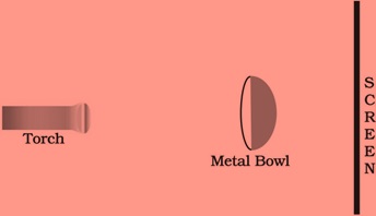 Science Class 6 Chapter 1 Exemplar