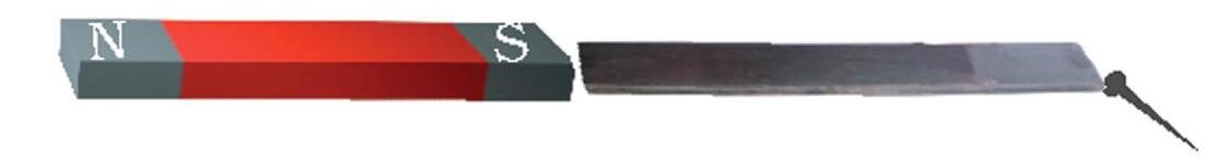 Science Class 6 Chapter 13 Exemplar