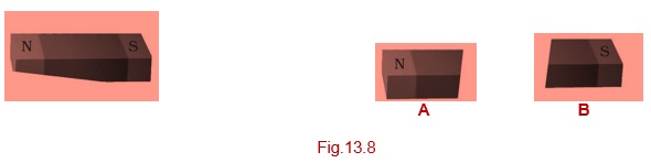 Science Class 6 Chapter 13 Exemplar