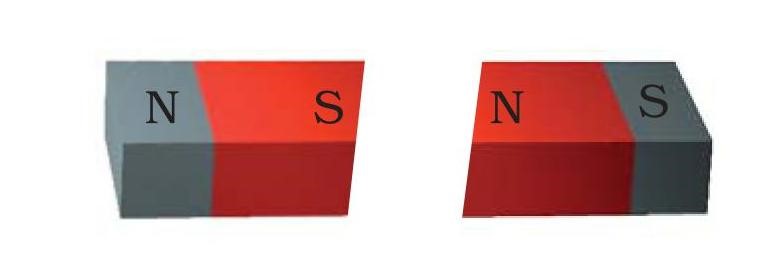 Science Class 6 Chapter 13 Exemplar