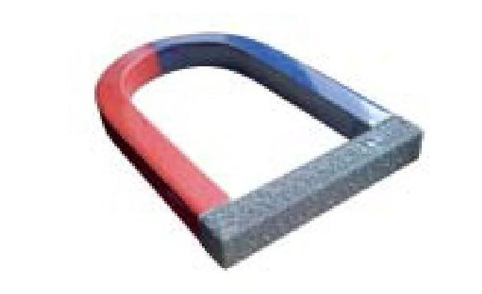 Science Class 6 Chapter 13 Exemplar