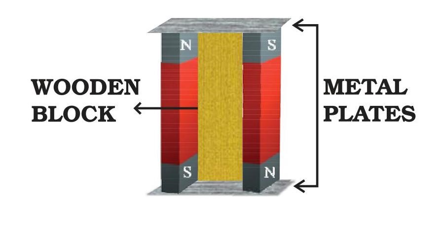 Science Class 6 Chapter 13 Exemplar