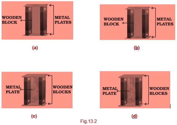 Science Class 6 Chapter 13 Exemplar