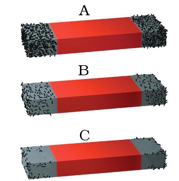 Science Class 6 Chapter 13 Exemplar