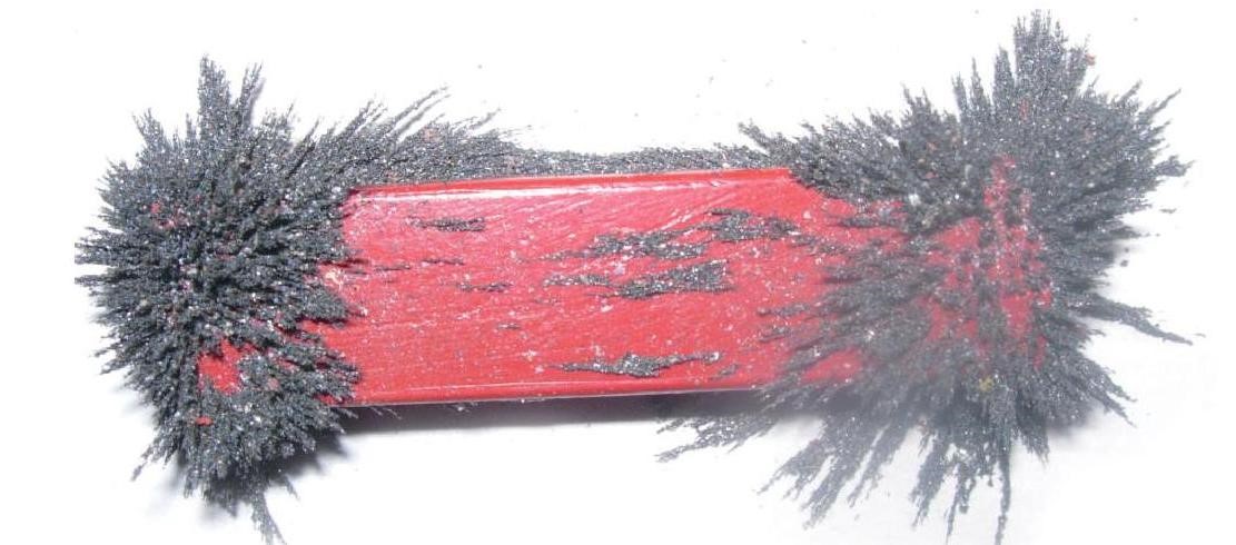 Science Class 6 Chapter 13 Exemplar