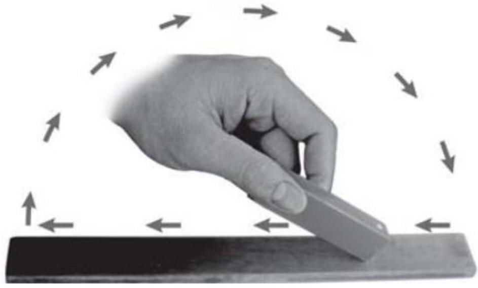 Science Class 6 Chapter 13 Exemplar