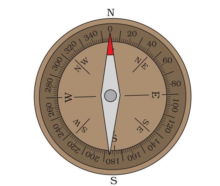 Science Class 6 Chapter 13 Exemplar
