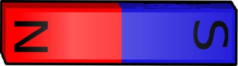 Science Class 6 Chapter 13 NCERT