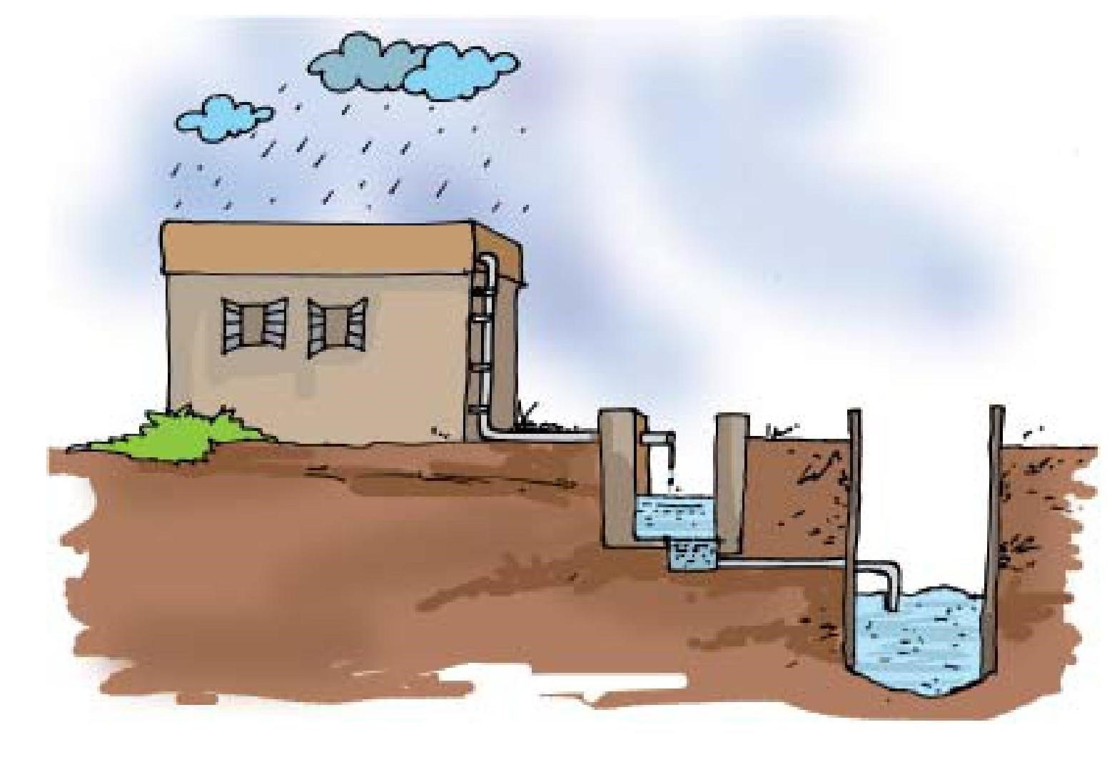 Science Class 6 Chapter 14 Exemplar