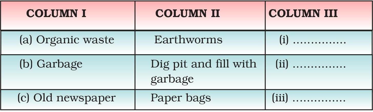 Science Class 6 Chapter 16 Exemplar