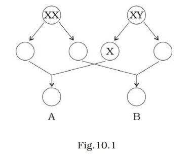 Science Class 8 Chapter 10 Exemplar