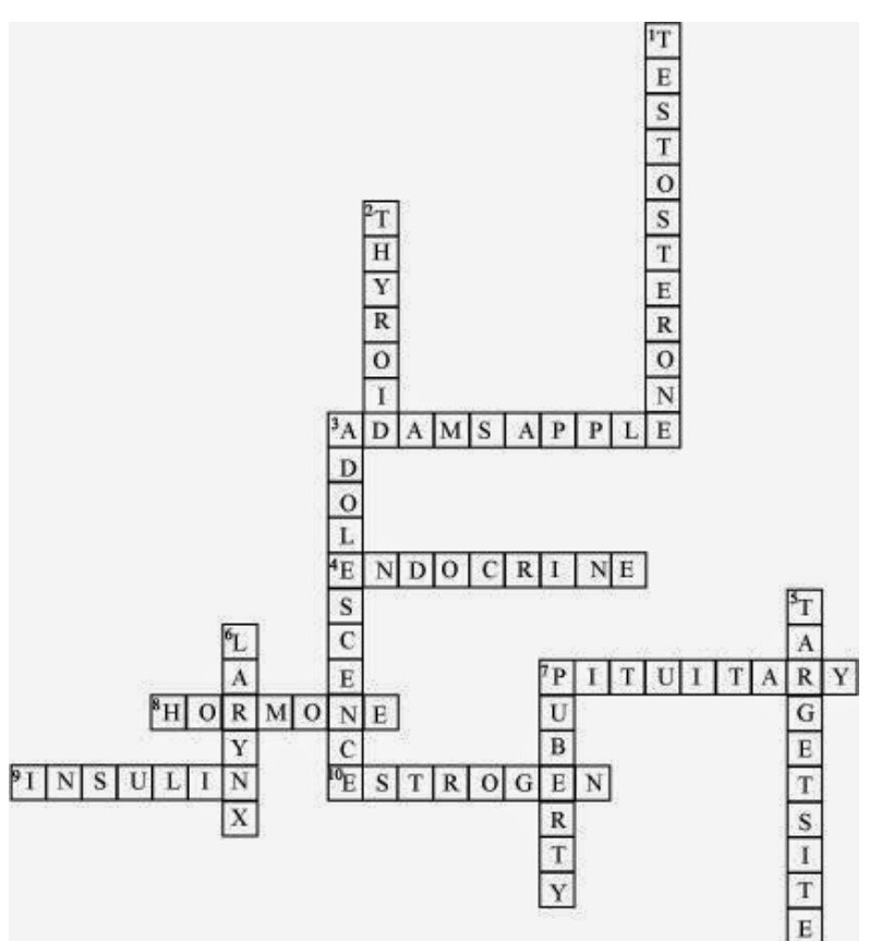 Science Class 8 Chapter 10 NCERT