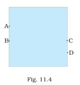 Science Class 8 Chapter 11 Exemplar
