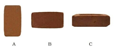Science Class 8 Chapter 11 Exemplar