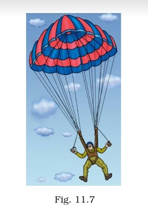 Science Class 8 Chapter 11 Exemplar