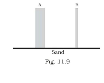 Science Class 8 Chapter 11 Exemplar