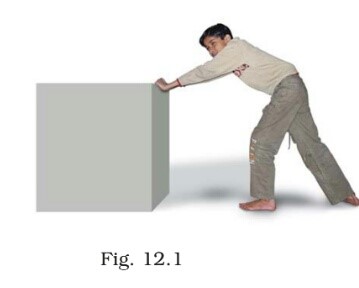 Science Class 8 Chapter 12 Exemplar