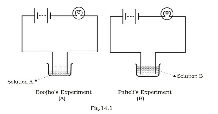 Science Class 8 Chapter 14 Exemplar