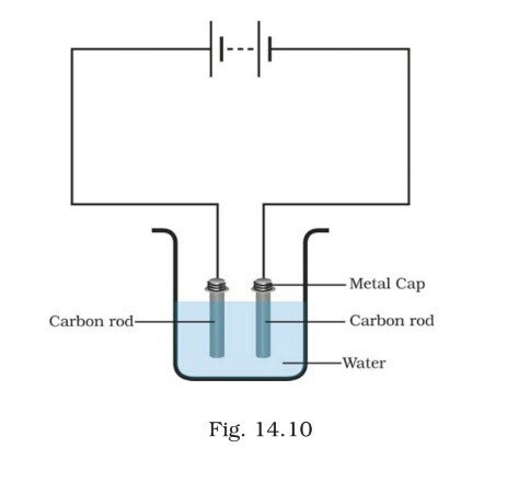 Science Class 8 Chapter 14 Exemplar