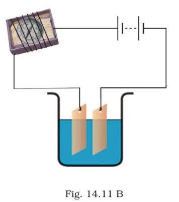 Science Class 8 Chapter 14 Exemplar