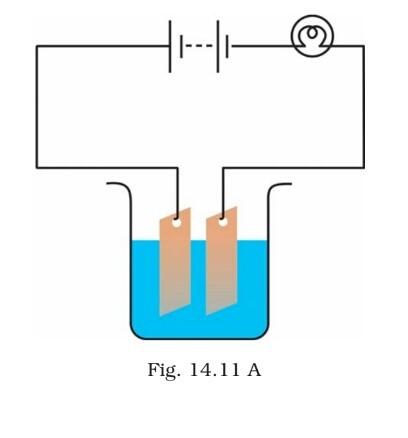 Science Class 8 Chapter 14 Exemplar