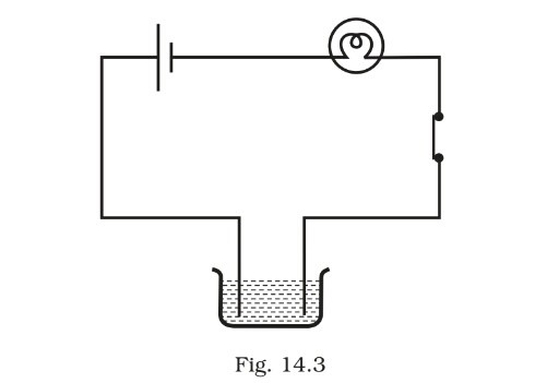 Science Class 8 Chapter 14 Exemplar