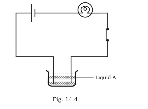 Science Class 8 Chapter 14 Exemplar