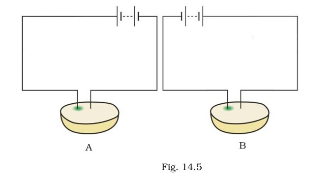 Science Class 8 Chapter 14 Exemplar