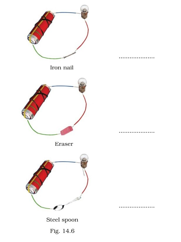 Science Class 8 Chapter 14 Exemplar