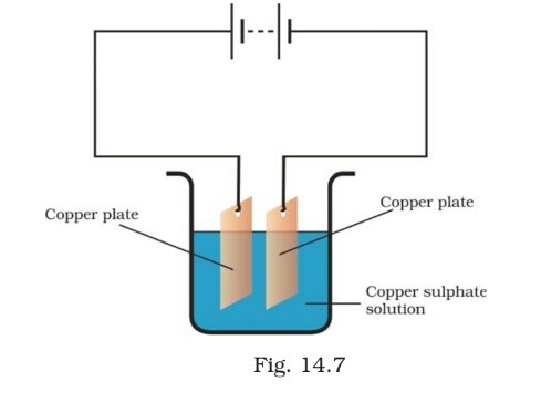 Science Class 8 Chapter 14 Exemplar