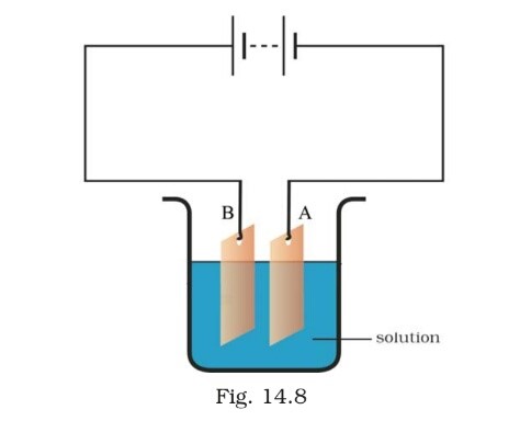 Science Class 8 Chapter 14 Exemplar