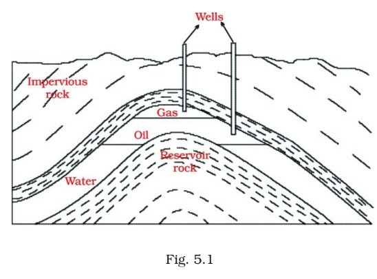 Science Class 8 Chapter 5 Exemplar