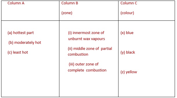Science Class 8 Chapter 6 Exemplar