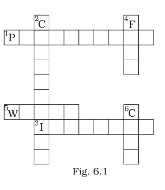 Science Class 8 Chapter 6 Exemplar
