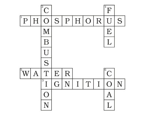 Science Class 8 Chapter 6 Exemplar