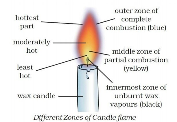 Science Class 8 Chapter 6 NCERT