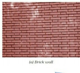 Science Class 8 Chapter 8 NCERT