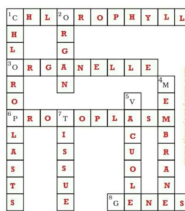Science Class 8 Chapter 8 NCERT