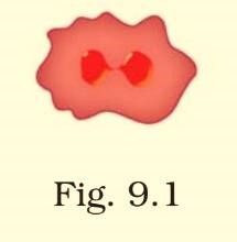 Science Class 8 Chapter 9 Exemplar