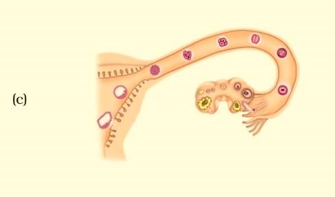 Science Class 8 Chapter 9 Exemplar