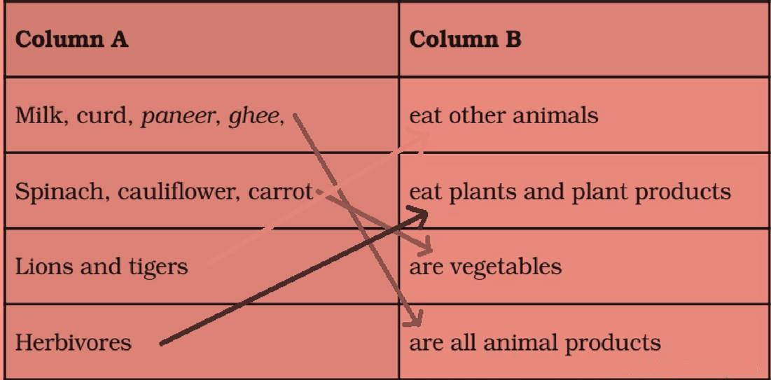 ncert science class 6 chapter 1
