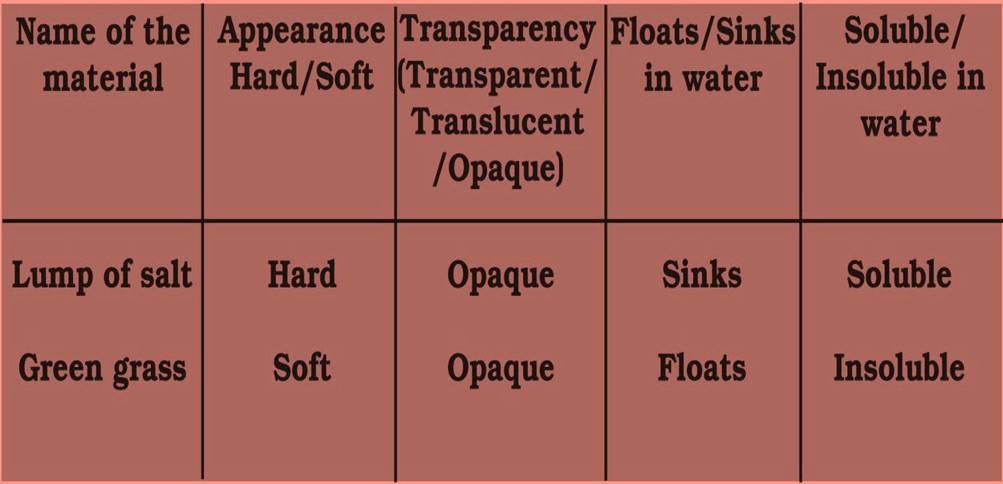 ncert science class 6 chapter 4