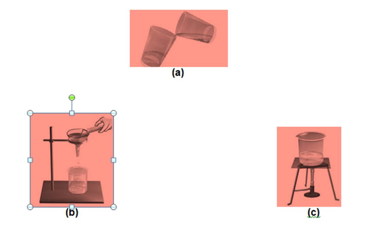 ncert science class 6 chapter 5
