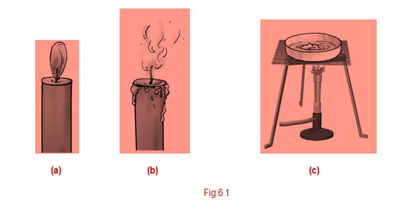 ncert science class 6 chapter 6