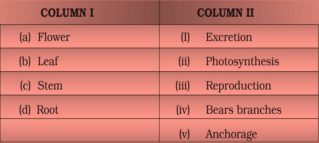ncert science class 6 chapter 7