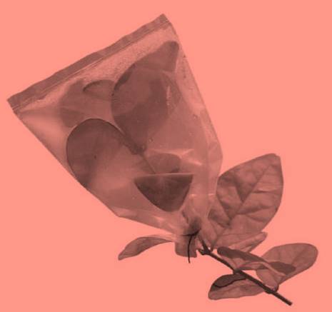 ncert science class 6 chapter 7