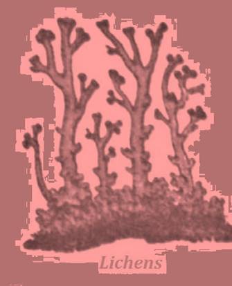 ncert science class 7 chapter 5